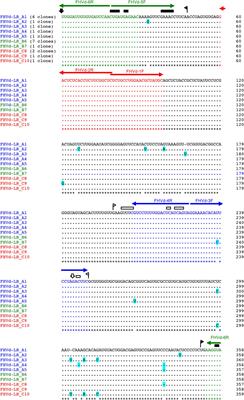 Novel Fig-Associated Viroid-Like RNAs Containing Hammerhead Ribozymes in Both Polarity Strands Identified by High-Throughput Sequencing